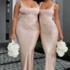 I Wanna Be Yours Maxi Dress Champagne 1 I Wanna Be Yours Maxi Dress Champagne -White Fox Sales IMG 8496
